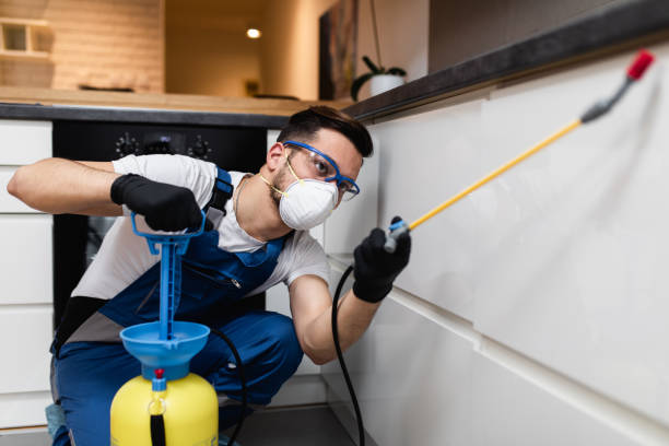 Best Mosquito Control Services  in Longmont, CO