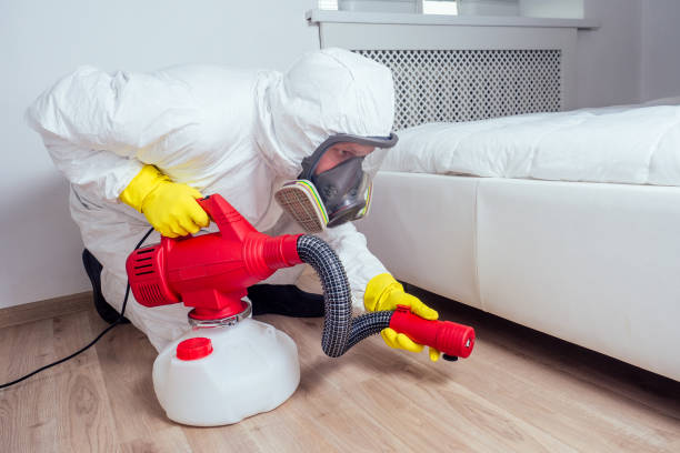 Best Bed Bug Extermination  in Longmont, CO