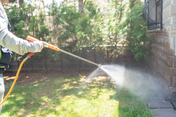 Best Pest Removal Services  in Longmont, CO