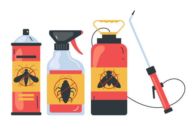 Best Exterminator Services  in Longmont, CO